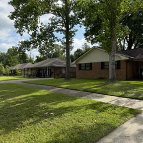 yard service by Above and Beyond Services LLC. reviewed on August 16, 2025