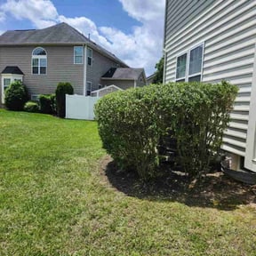 Bush Trimming by Heavenly Landscapes reviewed on August 19, 2025