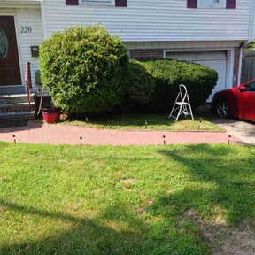 Bush Trimming by Lawn Pro grounds management reviewed on August 16, 2025