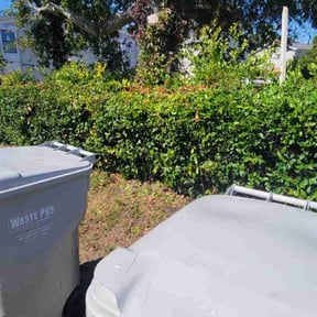 Bush Trimming by Terry Ziolkowski reviewed on November 24, 2025