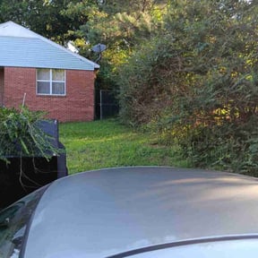 Bush Trimming by Lush Lawns reviewed on November 25, 2025