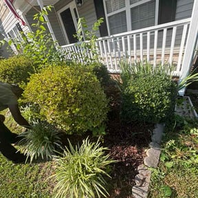 Flower Bed Weeding by RGM ,LANDSCAPING reviewed on June 19, 2026