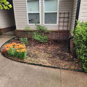 Flower Bed Weeding by Las Tortugas LLC reviewed on May 24, 2026