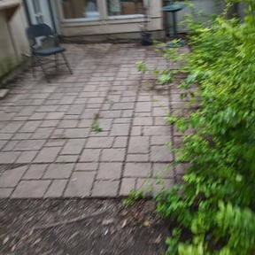 Leaf Removal by Above Blessing Landscaping reviewed on September 10, 2025