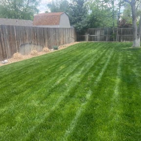 landscape maintenance by Gerardo Juárez  reviewed on November 19, 2025