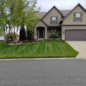 yard maintenance by Mitchell's Home Solutions reviewed on August 15, 2025
