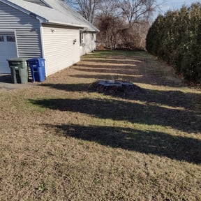 Leaf Removal by The Crew Lawn Care reviewed on September 26, 2025