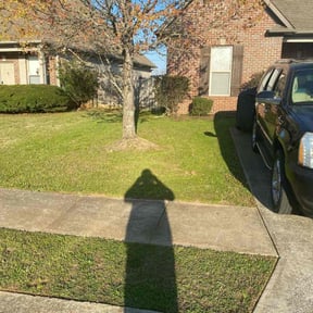 grass cutting by Dr. Lawns reviewed on April 3, 2024