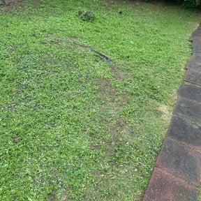 Flower Bed Weeding by Chadricos lawncare reviewed on August 19, 2026