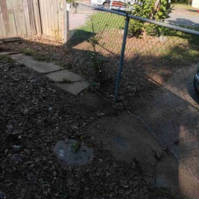 Bush Trimming by Yaquilandscaping reviewed on December 11, 2025