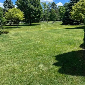 landscaping services by Lawn Care reviewed on January 29, 2026