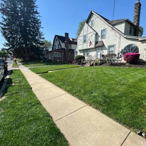 yard service by Smack Down lawns and tractor services reviewed on August 19, 2025