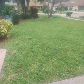residential landscaping by Integrity Lawn Care reviewed on August 21, 2025