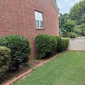 Bush Trimming by A Cut Above reviewed on June 28, 2026