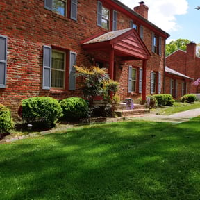 Bush Trimming by TLC-TOTAL Landscaping and Cleaning reviewed on August 21, 2025