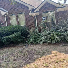 Bush Trimming by Early Bird Lawn Care LLC reviewed on November 5, 2025