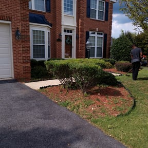 Bush Trimming by Mott's lawns reviewed on August 20, 2025