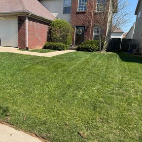 yard service by HighGrove Landscaping reviewed on December 25, 2025