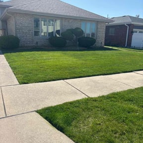 yard service by Clear Turf Lawn Care LLC reviewed on August 20, 2025