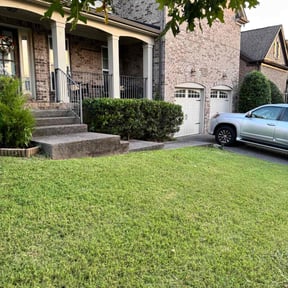 yard care by Ellis Landscaping and handyman service reviewed on August 18, 2025