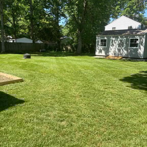 grass cutting by F.B. Services reviewed on June 24, 2025