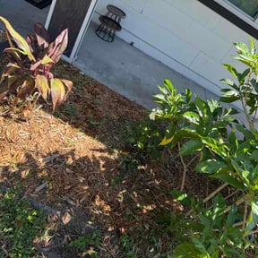 Flower Bed Weeding by Shomer Projects LLC reviewed on August 17, 2026