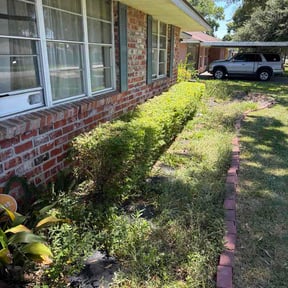 Bush Trimming by 281 Handyman &amp; Lawn Care reviewed on August 20, 2026