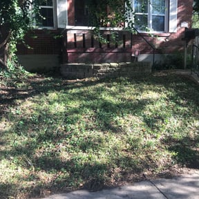 Bush Trimming by YardPro reviewed on August 21, 2025