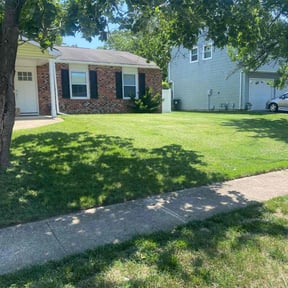 residential landscaping by DV8 Landscape reviewed on August 20, 2025