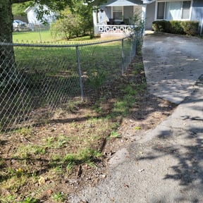 Bush Trimming by P&J Landscaping LLC reviewed on August 19, 2025