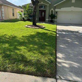 yard service by Lawn Detectives reviewed on November 25, 2025