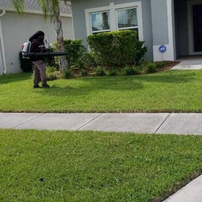Bush Trimming by Lawn life mowing reviewed on August 15, 2025