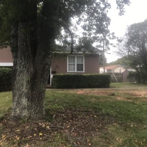 Bush Trimming by Parrish Lawn Care reviewed on August 18, 2025