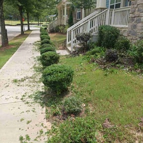 Bush Trimming by Rocking J Lawn Care reviewed on August 19, 2025