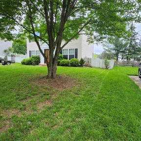 gardening service by JA All purpose property management reviewed on November 23, 2025