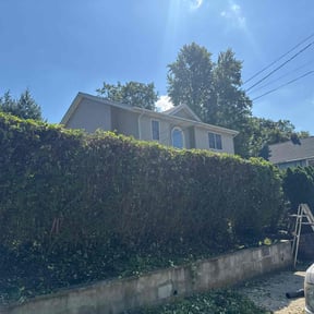 Bush Trimming by Mark Esckilsen reviewed on November 9, 2017