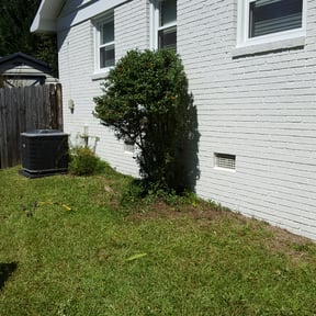 Bush Trimming by Jimenez's Landscaping & Gardening Services reviewed on August 20, 2025