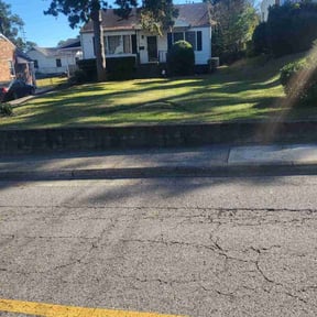 Bush Trimming by 3GUYSLAWNCARE reviewed on November 21, 2025