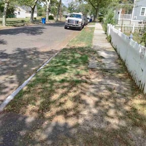 Leaf Removal by Imperial Lawn care and landscaping reviewed on September 20, 2025