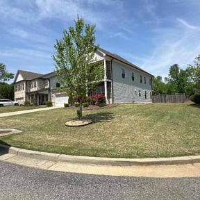 yard work by T&L Landscaping reviewed on August 15, 2025