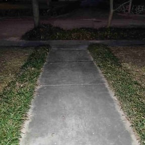 Leaf Removal by Childflower reviewed on February 3, 2026