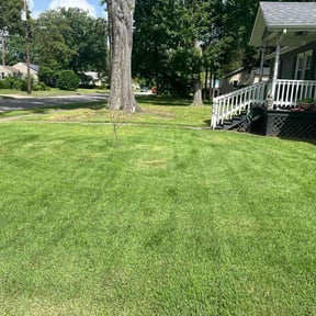 yard work by HillSide Landscape reviewed on August 20, 2025