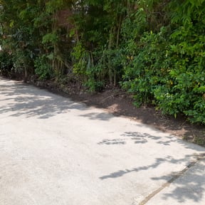 Leaf Removal by Sosebee's lawn care reviewed on August 16, 2025