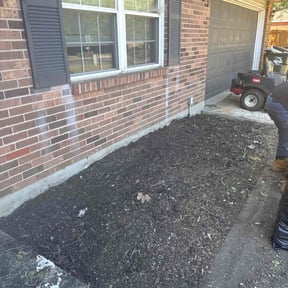 Flower Bed Weeding by Sprouts Novus LLC reviewed on July 2, 2025