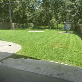 yard care by Dreamteam reviewed on January 1, 2026