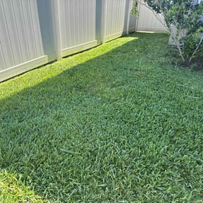 turf maintenance by JD&#039;s Lawn Care reviewed on August 15, 2025