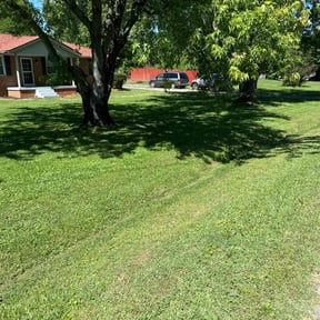 landscape maintenance by Coqui Lawn Care Services reviewed on August 21, 2025