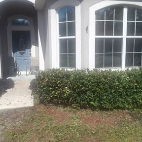 Bush Trimming by Penneys landscape reviewed on August 20, 2025