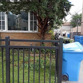 Bush Trimming by Nichols Lawn &amp; Landscaping reviewed on November 20, 2025