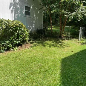 Bush Trimming by Cooper and pals reviewed on August 16, 2025